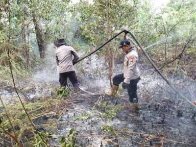 Lahan 25 Hektar Terbakar di Bengkalis Riau, Kapolres: Titik Panas Sudah Tidak Ada